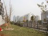 中惠晨曦馨苑租房250元/月