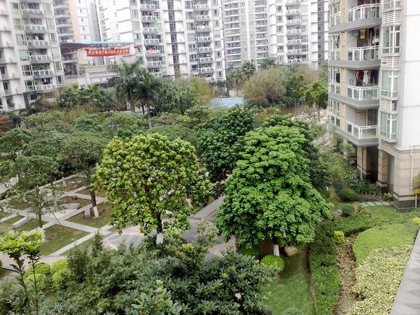 东风村。整栋出租。价格合理。家电齐全。