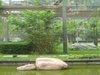丰侨公寓租房7000元/月