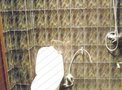 兴海家园日苑租房2500元/月