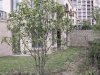 南郊美墅租房3500元/月