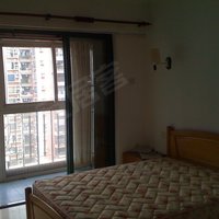 快来下定啦，不然就没拉