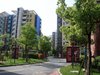 澳丽映象租房550元/月
