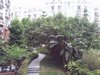 桂芳园租房900元/月