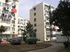 天泰花园租房450元/月