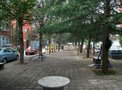 永乐西小区租房1200元/月