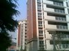 绿苑小区租房300元/月