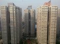 百环花园租房450元/月