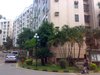 加洲花园租房3000元/月