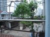 新梅共和城租房15000元/月