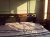 怡葑庭租房2300元/月
