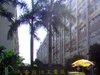 天安南油工业区租房50元/月