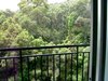 翠雅居租房450元/月