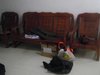 阳光花地苑租房3800元/月