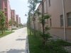 海悦花园租房550元/月
