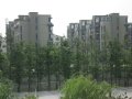 阳光水韵