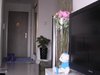 沿海赛洛城租房3300元/月