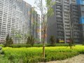 中弘北京像素