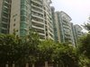 逸景翠园租房100元/月