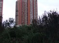 大屯里小区租房550元/月