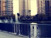 雅居乐花园租房2850元/月