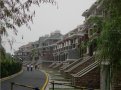 森林逸城