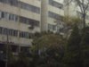 东湖小区租房1300元/月