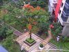 中海康城国际租房1200元/月