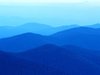 创业公寓租房111元/月