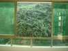 自然美景租房450元/月