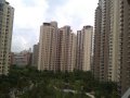 仁恒河滨城（一至三期）,仁恒河滨城租房12000元/月