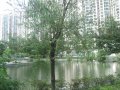 中远两湾城（一至四期）,中远两湾城租房1800元/月