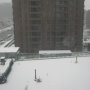 北京香颂