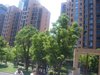 嘉杰国际广场租房380元/月