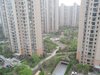 中浩云花园租房450元/月