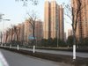 中海国际社区租房360元/月