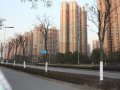 中海国际社区