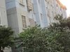 莲花新村(园区 一至八区)租房300元/月