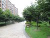 碧瑶花园租房700元/月