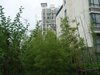 南洋博仕欣居租房550元/月
