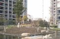 中邦城市