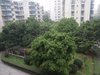 竹园小区租房1800元/月