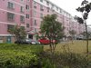 马浜花园(南北区)租房350元/月