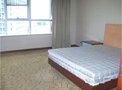 纽约客租房6000元/月