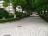 山鑫阳光城租房2000元/月
