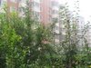 语言大学租房3800元/月