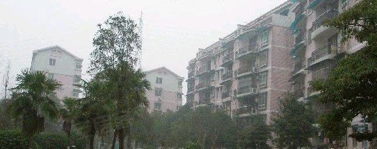 桔洲新苑户型图,外景图,分布图,桔洲新苑照片及