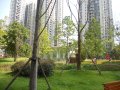 融侨诺丁阳光