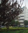 西杨安浜