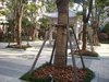 宝宸怡景园租房550元/月